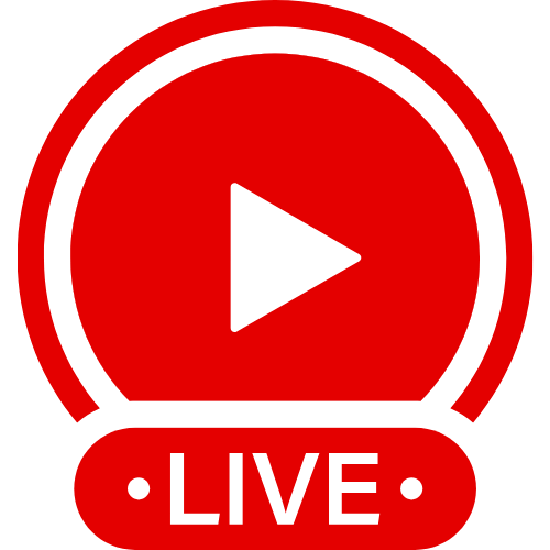 Hamsterlive X | Live Webcam Shows & Interactive Adult Entertainment